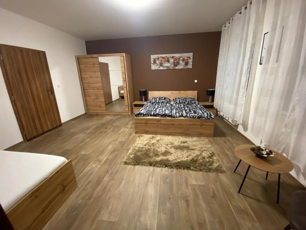 Cerny Tulipan - Apartman 3 Leilighet Plzeň Eksteriør bilde