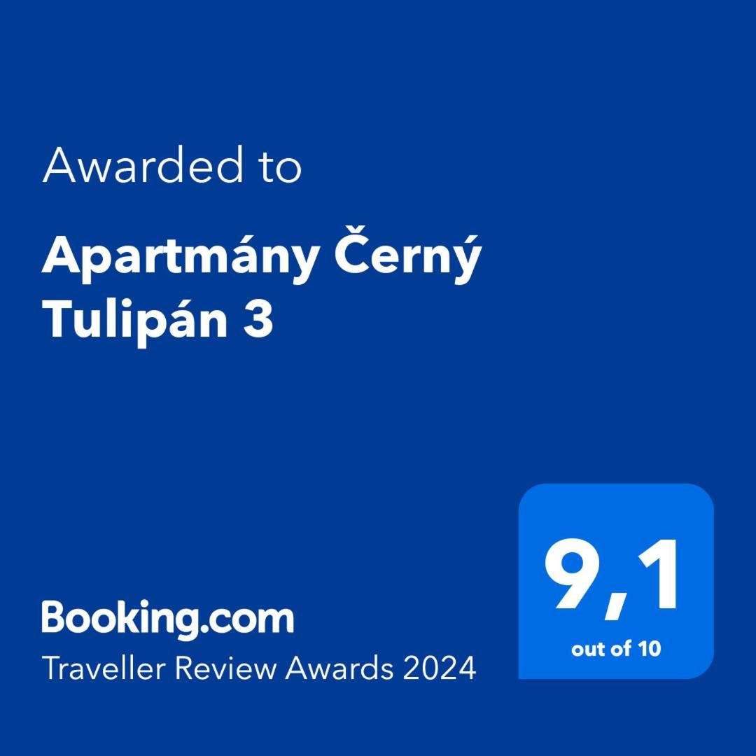 Cerny Tulipan - Apartman 3 Leilighet Plzeň Eksteriør bilde